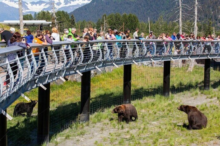 Wildlife Conservation Center and Portage Glacier Viewing