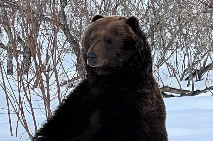 Wildlife Conservation Center and Portage Glacier Viewing 