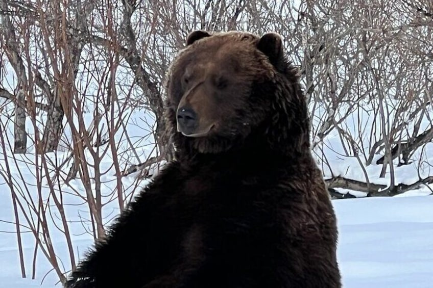 Wildlife Conservation Center and Portage Glacier Viewing
