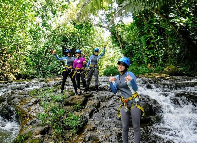 Picture 3 for Activity Kauai: Island Waterfall Adventure