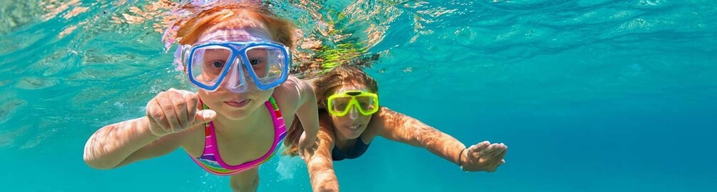 Picture 5 for Activity L'Estartit: Medas Islands Boat Tour and Swim in Montgrí Park