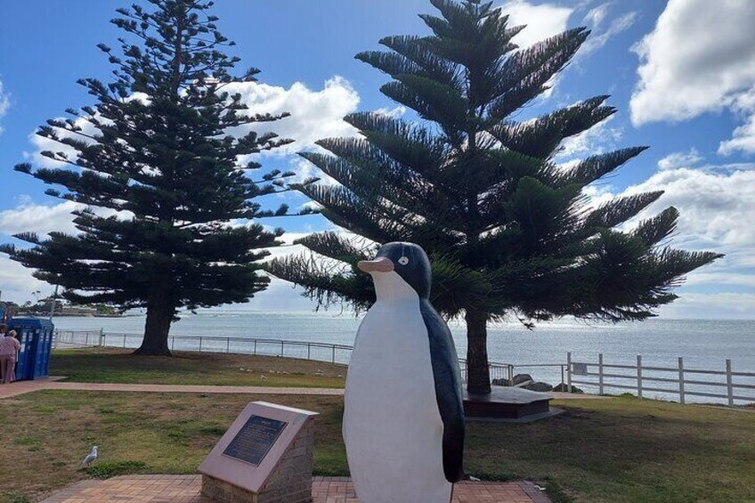 Discovering Tasmania: Burnie Shore Excursion 