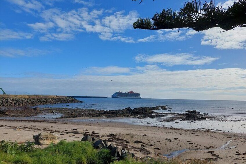 Discovering Tasmania: Burnie Shore Excursion 