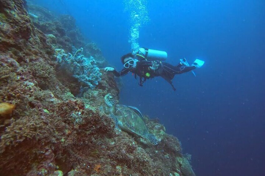 Cebu: Scuba Diving Experience beach entry in Mactan