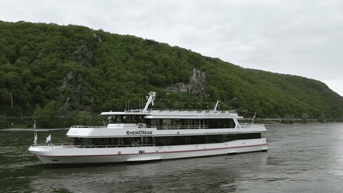 Rüdesheim am Rhein: Christmas Boat Cruise on the Rhine