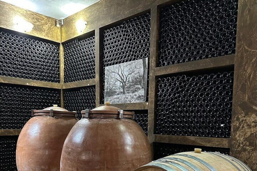 Private Full Day Tour to Nemea Wineries from Attica