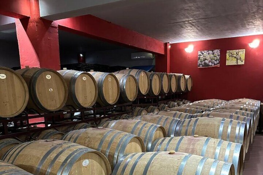 Private Full Day Tour to Nemea Wineries from Attica