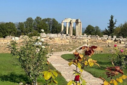 Private Full Day Tour to Nemea Wineries from Attica