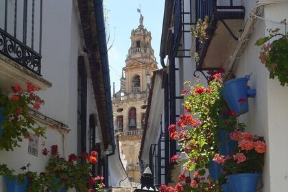 Guided Tour of the Jewish Quarter of Córdoba