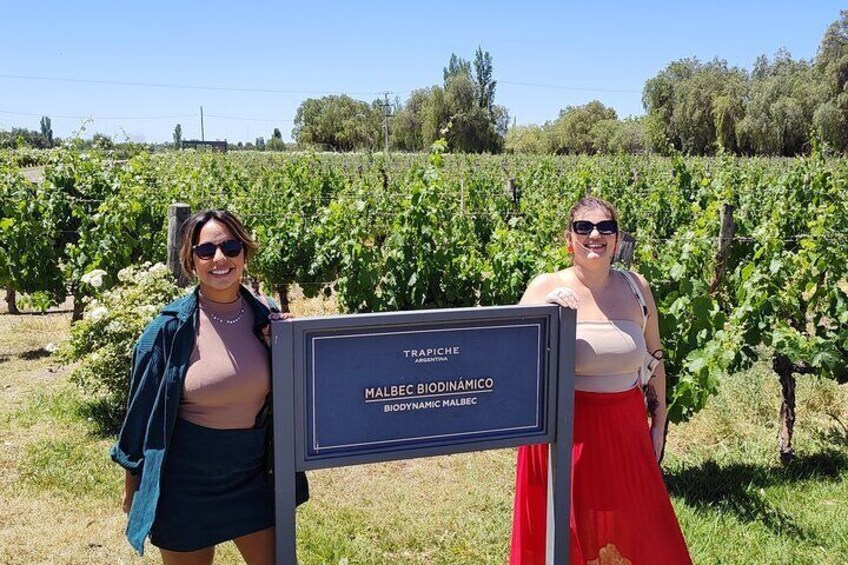 Private Tour to the Wineries in Luján de Cuyo or Maipú