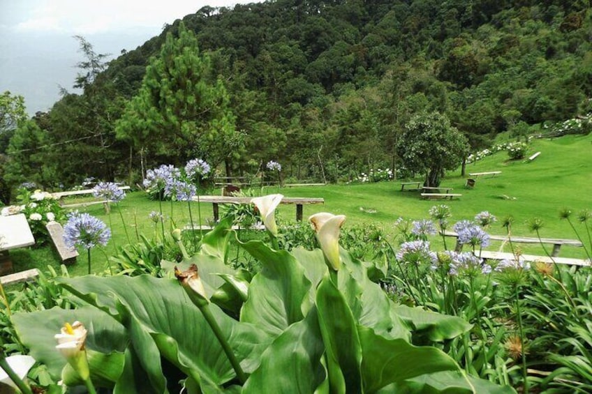 Private Ecotourism Experience in Cerro El Pital, El Salvador