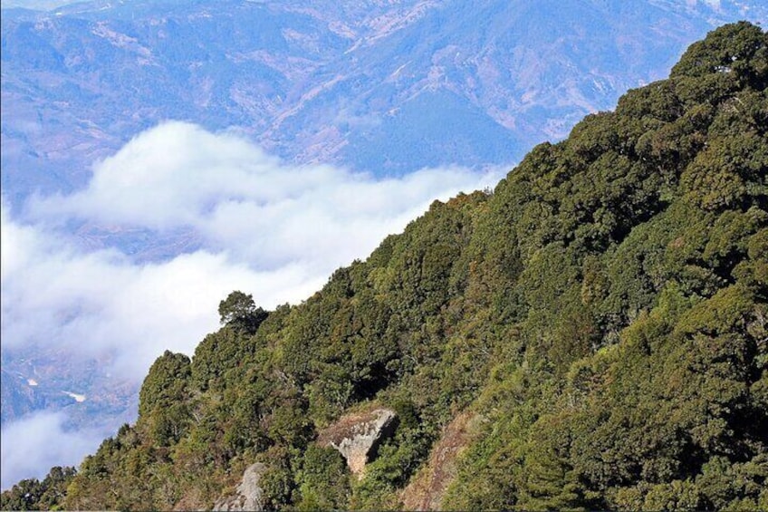 Private Ecotourism Experience in Cerro El Pital, El Salvador