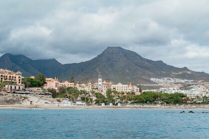 Tenerife: Hval- og delfinsafari med drikkevarer og snacks