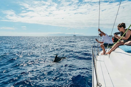 Tenerife: Walvissen en dolfijnen kijken met drankjes en snacks