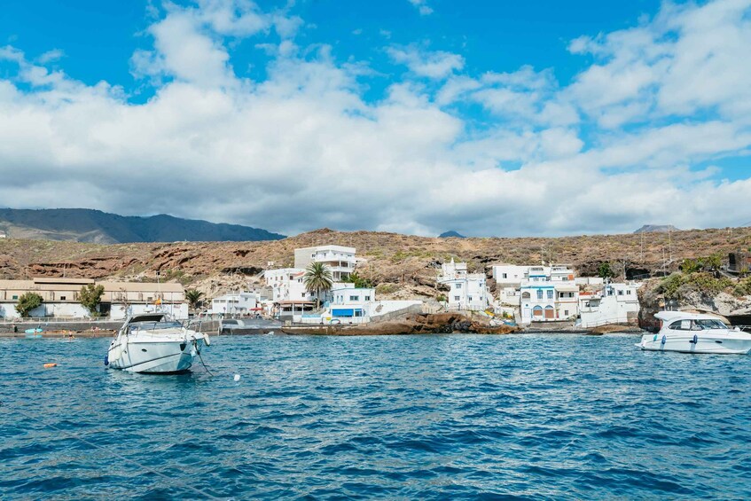 Picture 9 for Activity Tenerife: Whale & Dolphin Watching with Drinks and Snacks