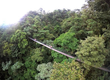 Excursión de medio día a los puentes colgantes del Arenal desde La Fortuna