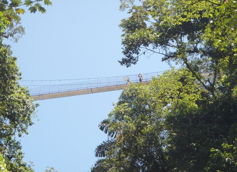 Picture 10 for Activity Arenal Hanging Bridges Half-Day Tour from La Fortuna