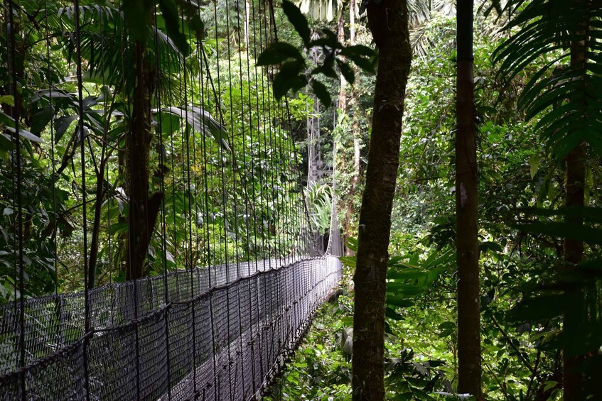 Picture 1 for Activity Arenal Hanging Bridges Half-Day Tour from La Fortuna