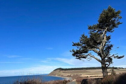 Guided Island Trail and Beach Day