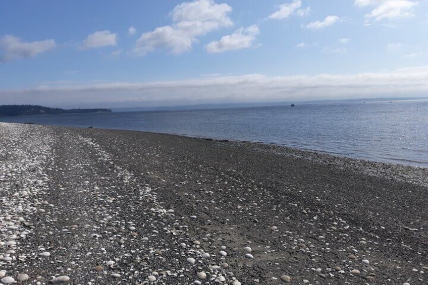 Guided Island Trail and Beach Day