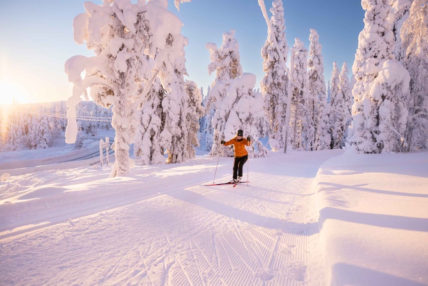 Picture 2 for Activity Ruka: Cross-country skiing