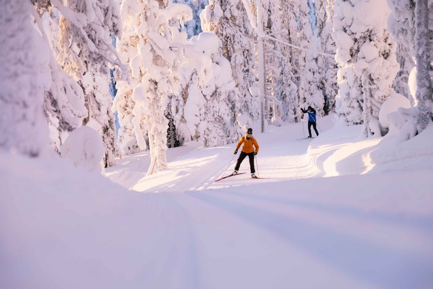 Picture 3 for Activity Ruka: Cross-country skiing