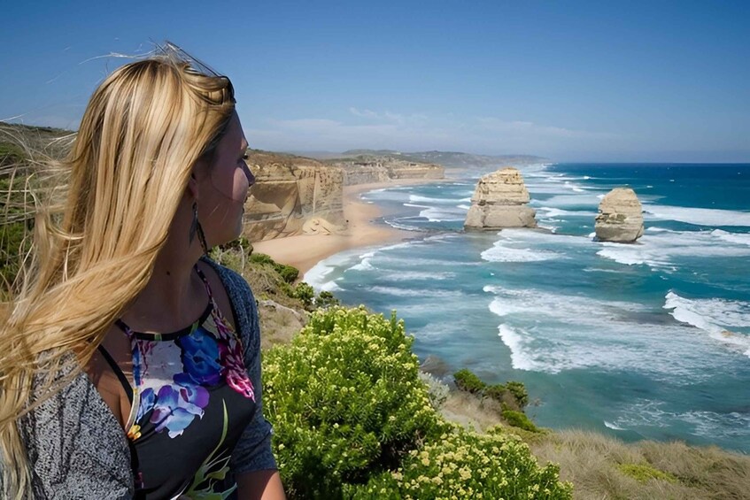 Picture 1 for Activity Great Ocean Road and Wildlife Day Tour