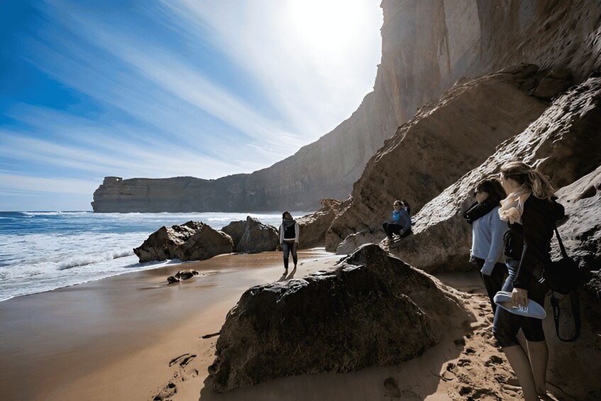 Picture 2 for Activity Great Ocean Road and Wildlife Day Tour