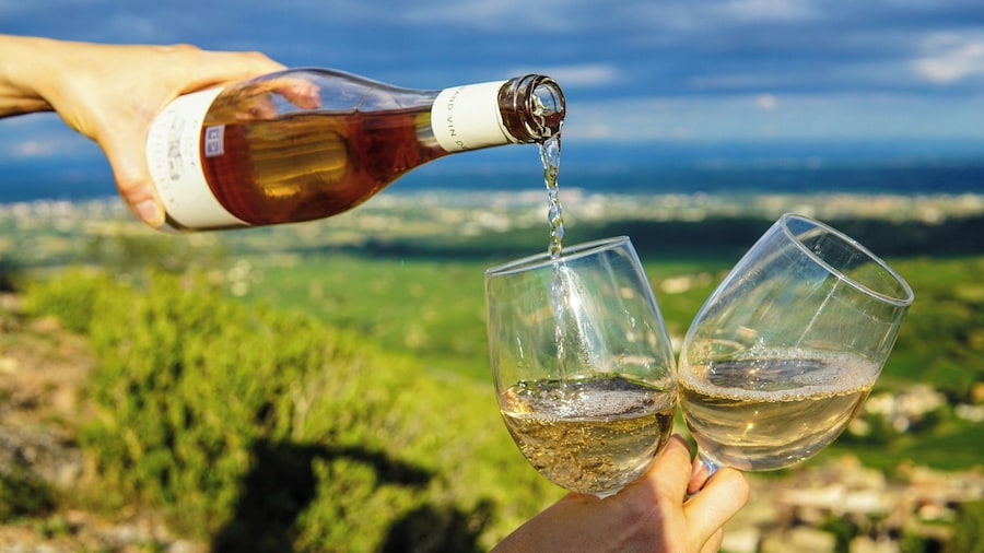 Vouvray half-day wine experience : vineyard visit & tasting trip from Tours