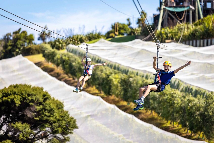 Picture 10 for Activity Waiheke Island: Zipline and Native Forest Adventure Trip