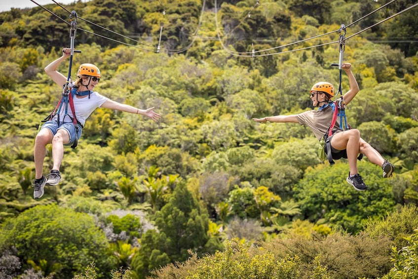 Picture 12 for Activity Waiheke Island: Zipline and Native Forest Adventure Trip