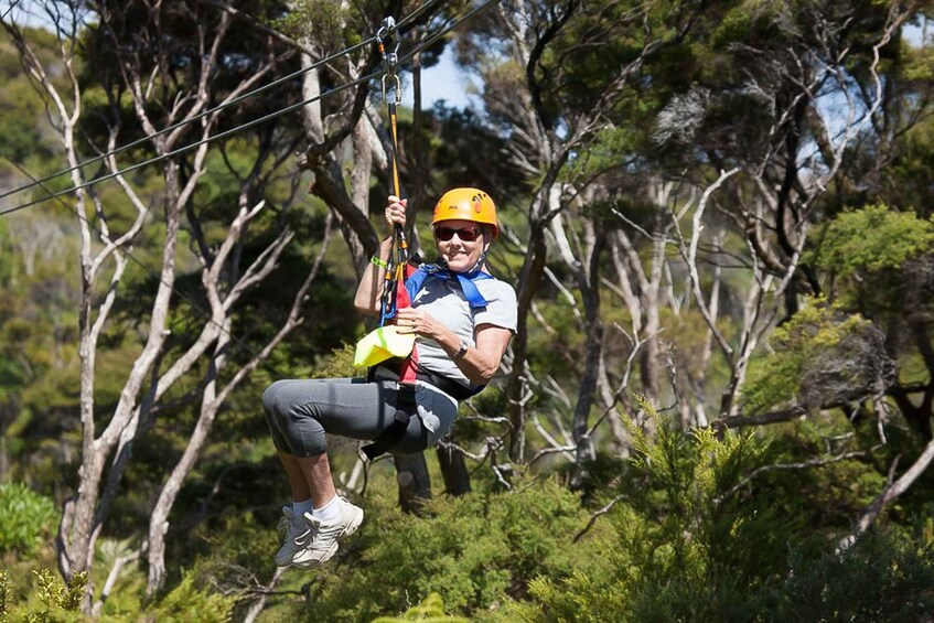 Picture 5 for Activity Waiheke Island: Zipline and Native Forest Adventure Trip