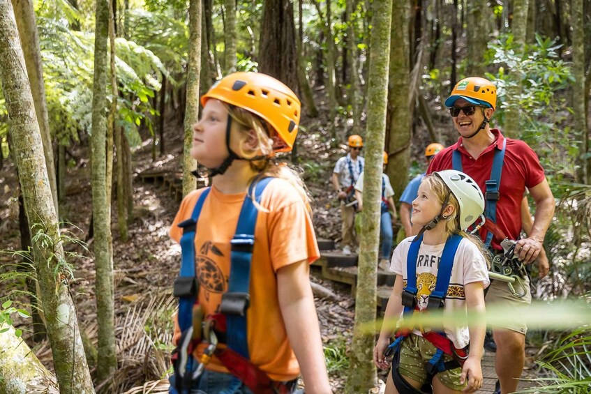 Picture 14 for Activity Waiheke Island: Zipline and Native Forest Adventure Trip