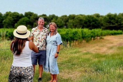 Picpoul de Pinet Tour - Half Day Oysters and Wines