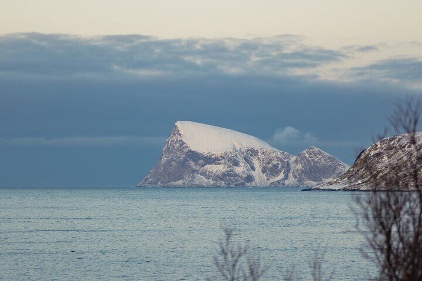 Tour in Tromso through the Fjords and Sommaroy