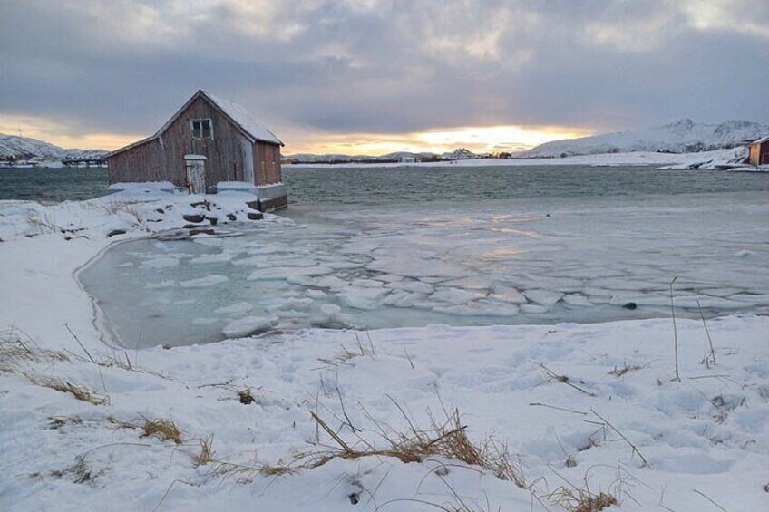 Tour in Tromso through the Fjords and Sommaroy