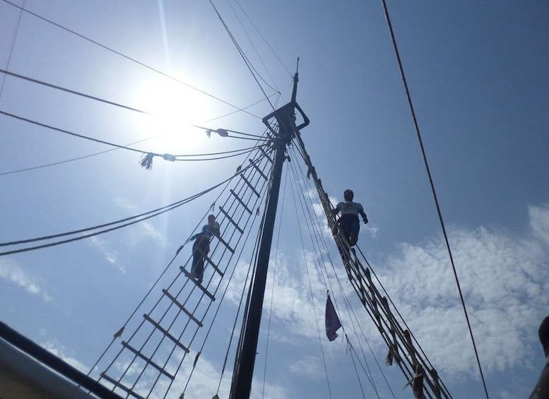 Picture 4 for Activity Djerba: day by pirate boat to Flamant Island