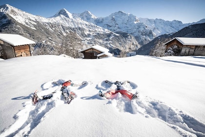 Fra Interlaken: Guidet snesko-tur omkring Isenfluh