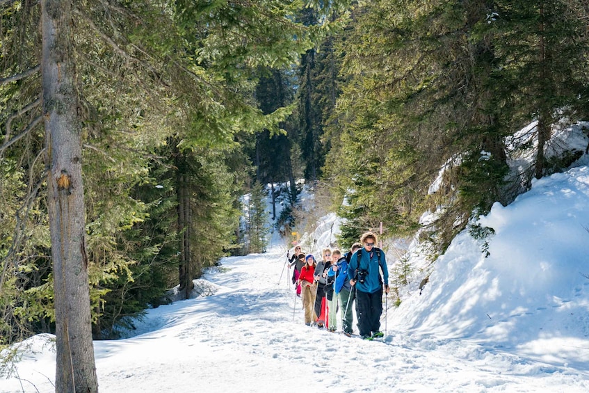 Picture 9 for Activity From Interlaken: Guided Snowshoe Tour around Isenfluh