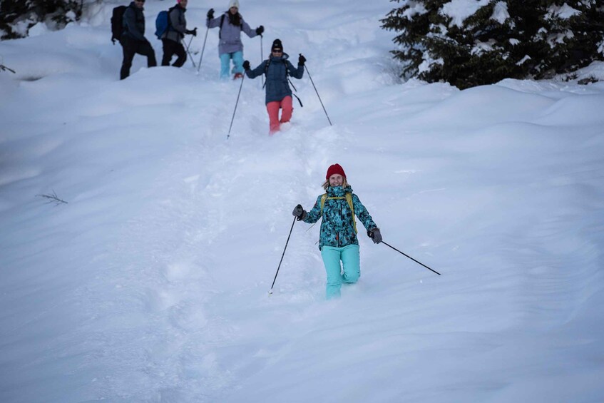 Picture 2 for Activity From Interlaken: Guided Snowshoe Tour around Isenfluh