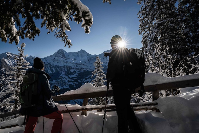 Picture 4 for Activity From Interlaken: Guided Snowshoe Tour around Isenfluh