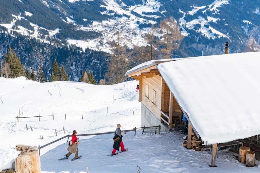 Picture 7 for Activity From Interlaken: Guided Snowshoe Tour around Isenfluh