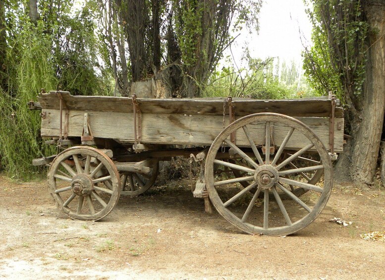 Picture 13 for Activity Puerto Madryn: Tour of Welsh Settlements in Patagonia