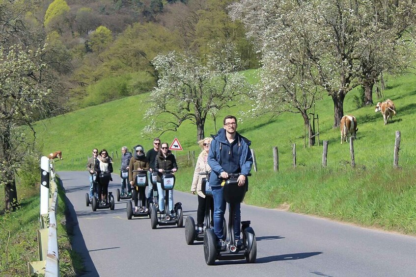 Picture 2 for Activity Heidelberg Highlights Segway Tour with Castle