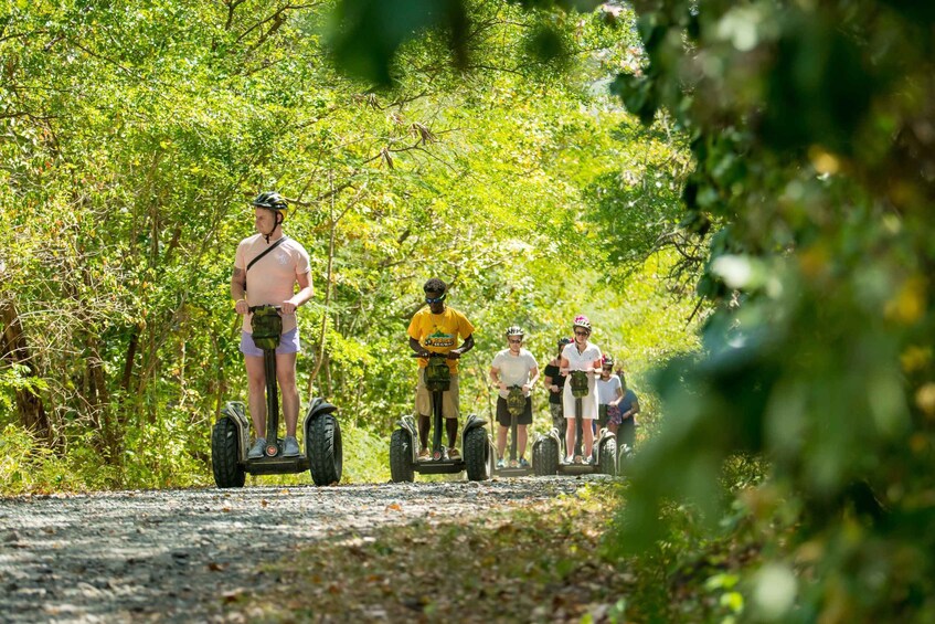 Picture 6 for Activity St. Lucia: Segway Nature Trail Experience