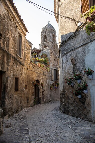 Picture 2 for Activity Caserta: E-bike tour to the medieval village Casertavecchia