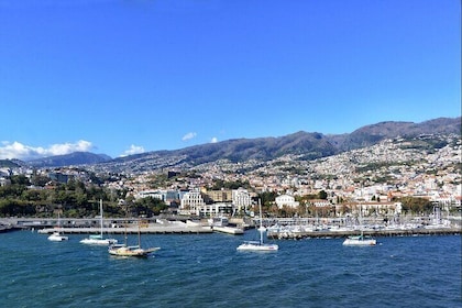 The Exclusive Funchal City Grand Tour by Tuk-Tuk