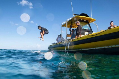 オアフ島ハレイワ発ノースショアシュノーケリングツアー