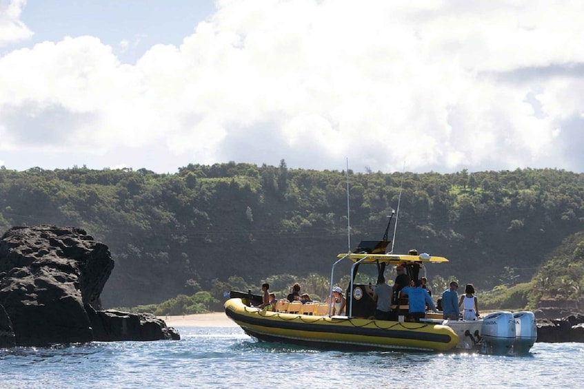 Picture 4 for Activity Oahu: North Shore Snorkeling Tour from Haleiwa