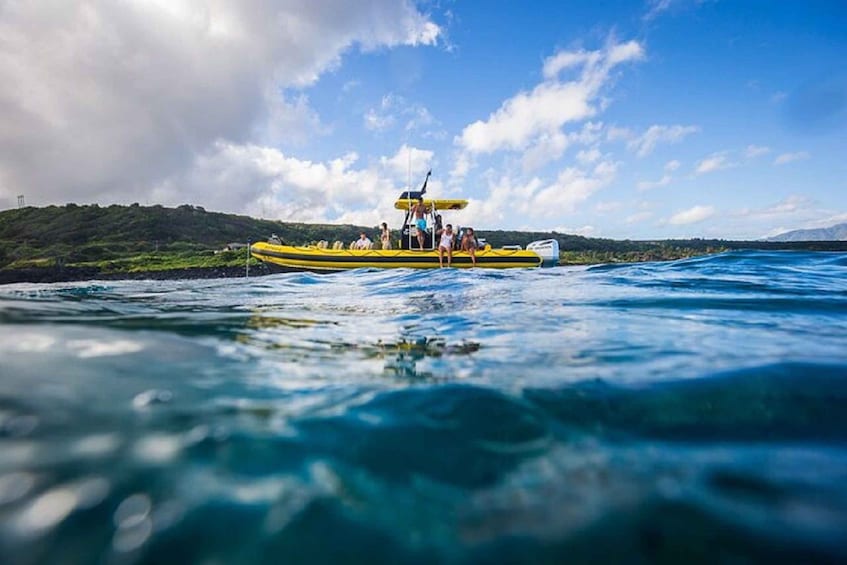 Picture 3 for Activity Oahu: North Shore Snorkeling Tour from Haleiwa